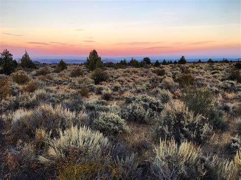 Tule Lake National Wildlife Refuge - Discover Siskiyou