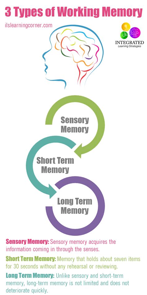Types of Memory: Working Memory Tied to Your Child's Intelligence - Integrated Learning Strategies