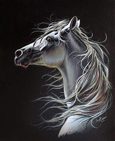 40 Realistic Animal Pencil Drawings - Bored Art