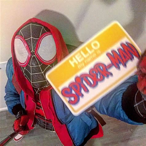 Pin by Susan Fabiola Sandoval on Cosplay | Spiderman, Spiderman ...