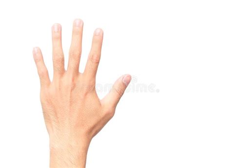 Man Showing Back Hand and Five Finger Count on White Background Stock Image - Image of palm ...