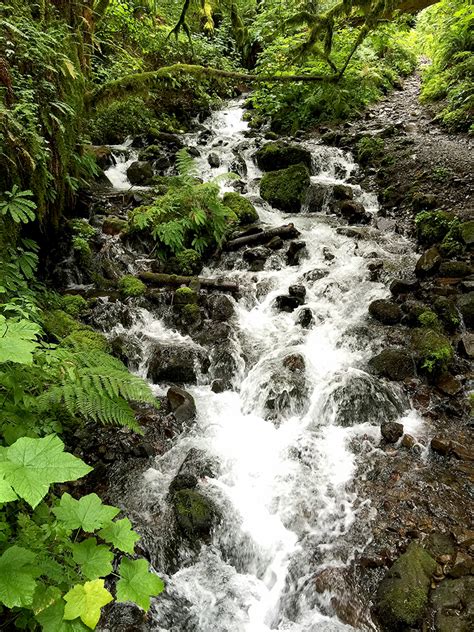 Hiking Through Wahkeena Canyon To Fairy Falls In The Columbia River Gorge