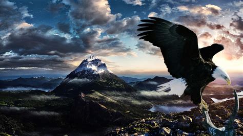 Eagle Desktop Wallpaper (73+ images)