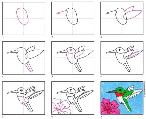 Easy How to Draw a Hummingbird Tutorial Video and Hummingbird Coloring ...