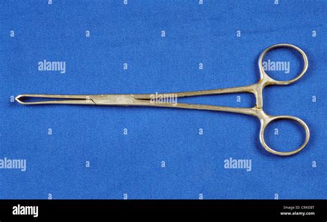 Allis clamp; used to apply atraumatic traction to tissue, especially ...