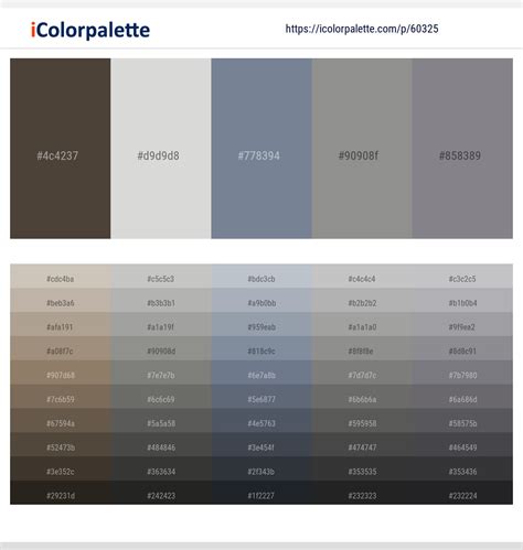 1 Latest Color Schemes with Slate Gray And Star Dust Color tone combinations | 2024 | iColorpalette