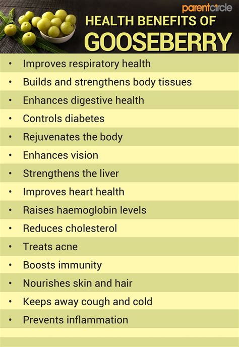 Gooseberry Health Benefits, Medicinal Uses, Nutrition Value and Calories - Parentcircle