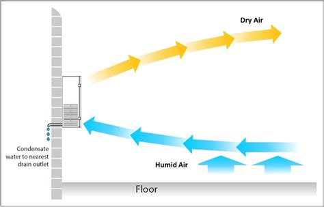 Wall Mounted Dehumidifier - Humidity Control Technologies - Fortesvo