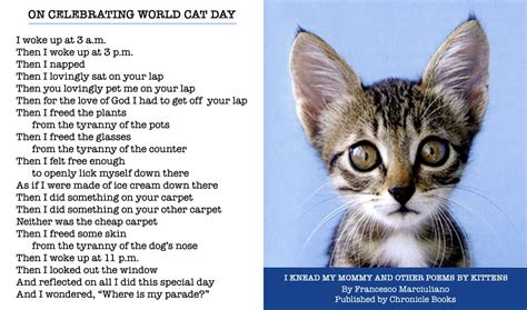 On Celebrating World Cat Day | World cat day, National cat day, Cats