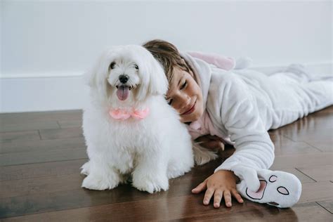 Best Pets For Kids: 13 Low-Maintenance Pets | PetsPyjamas