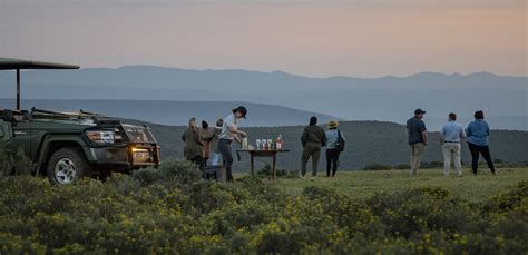 First peri-urban wildlife reserve opens in EC | Southern & East African ...