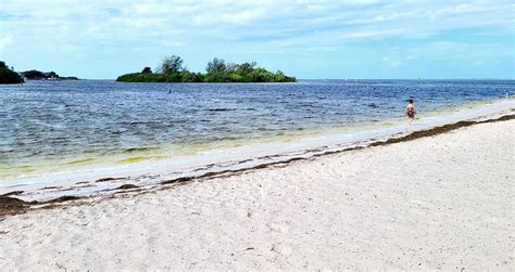 6 Best Beaches in Tarpon Springs, FL | PlanetWare