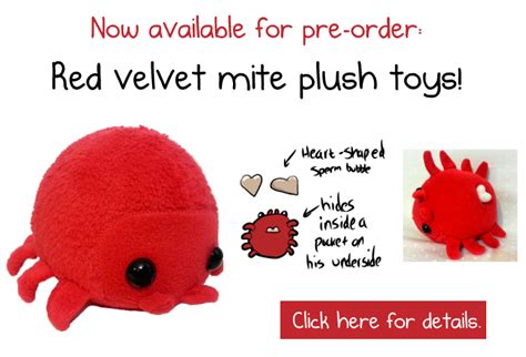 This is a red velvet mite and he is here to teach you about love - The Oatmeal