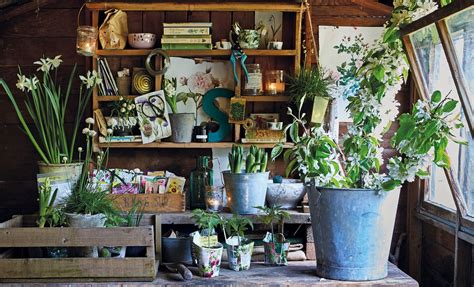 5 Shed Shelving Ideas That Make Organization Look Pretty | Livingetc