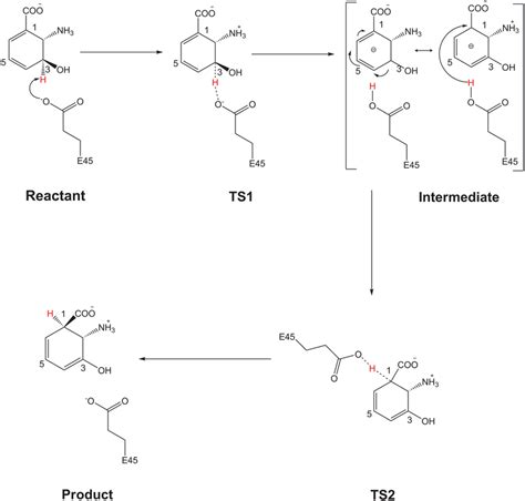 Reaction Path for Catalytic Mechanism.... | Download Scientific Diagram