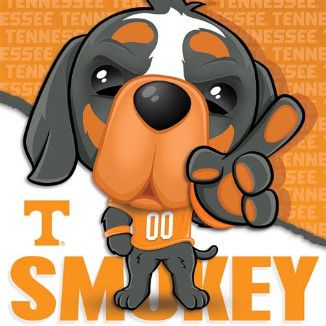 Smokey - Tennessee Volunteers Mascot 100 Piece Puzzle | Puzzles for Kids – MasterPieces Puzzle ...