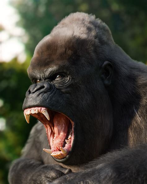 Angry Gorilla Blender 2.9 - Cycles : r/blender