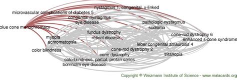 Blue Cone Monochromacy disease: Malacards - Research Articles, Drugs, Genes, Clinical Trials