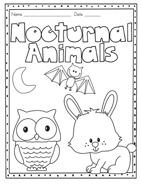 nocturnal animals | Nocturnal animals kindergarten, Nocturnal animals, Nocturnal animals activities