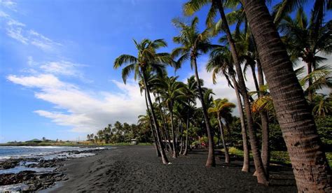 Punalu'u Black Sand Beach in Big Island - Hawaiian Planner