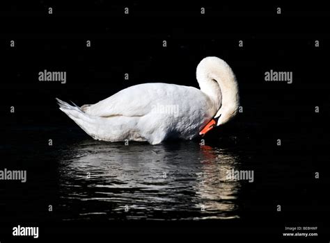 Marburg lahn hi-res stock photography and images - Alamy