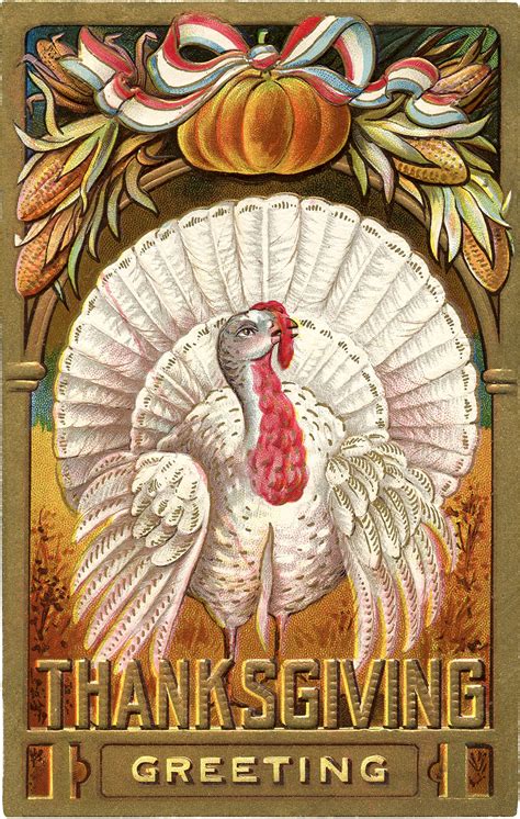 Thanksgiving Clip Art - White Turkey - The Graphics Fairy