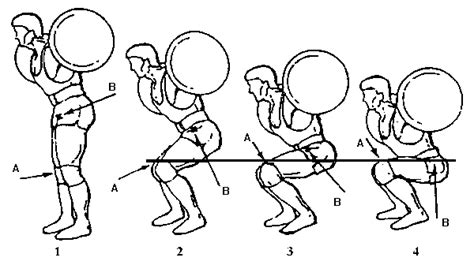 Squat Depth: The Final Answer – Box Basics