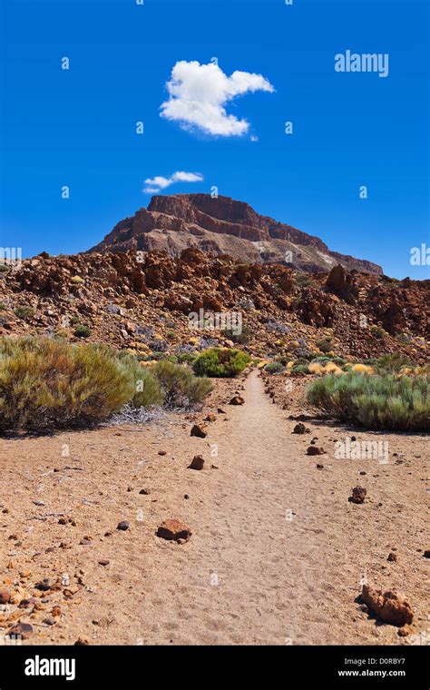 Volcano Teide in Tenerife island - Canary Stock Photo - Alamy