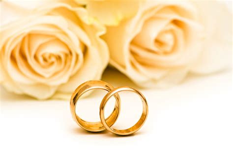 HD wallpaper: gold-colored wedding bands, flowers, roses, engagement ...