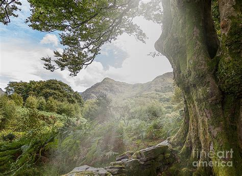 Welsh mountains Photograph by Shaun Wilkinson - Fine Art America