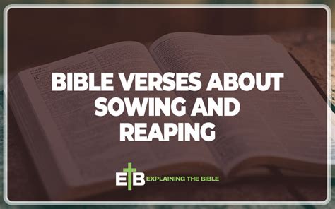 30 Important Bible Verses About Sowing And Reaping - Explaining The Bible