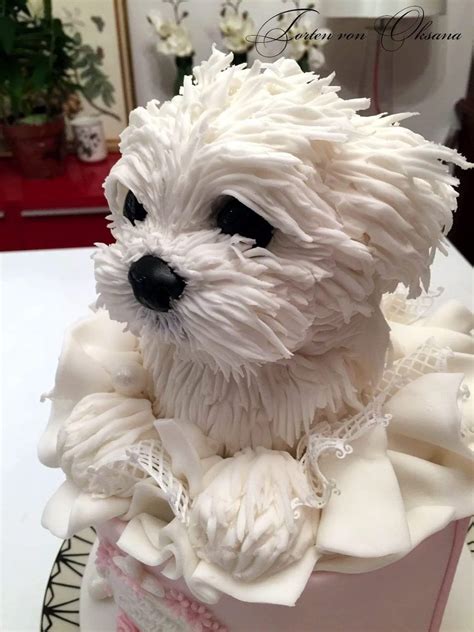 This puppy cake : r/ATBGE