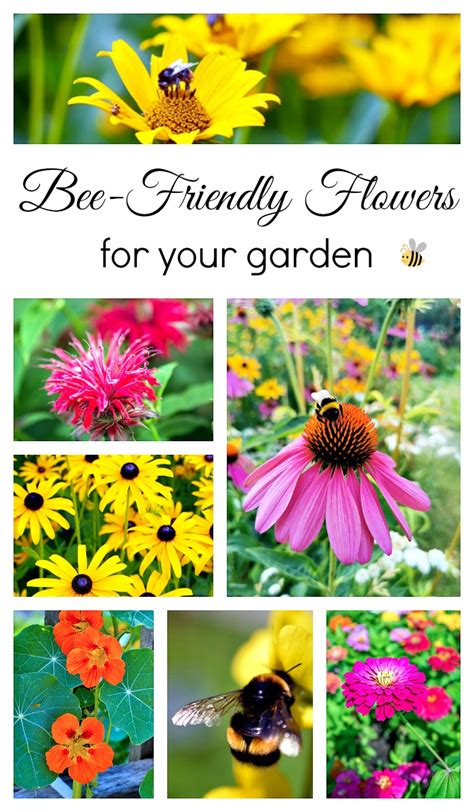 11 Bee-Friendly Flowers for Your Garden - Town & Country Living