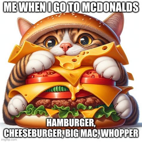 Cat eating cheeseburger - Imgflip