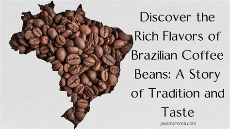 Brazilian Coffee Specs - Java Momma