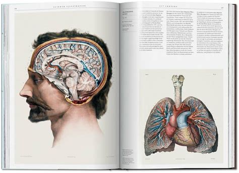 Coffee Table Book Celebrates 500 Years of Science Illustration