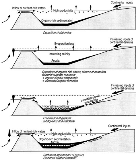 Scenario for the alternating sedimentation of diatomites and precursor... | Download Scientific ...