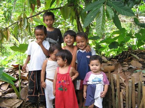 500 Farmers Go Organic Farming-Philippines - GlobalGiving