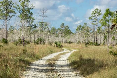 Hiking The Everglades Trails and Photographing Its Beautiful Environment