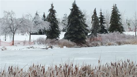 Ice Storm Toronto 2013