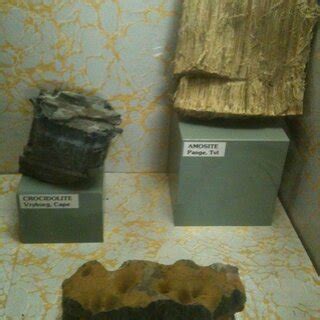 Amosite and crocidolite asbestos in the Transvaal Museum, Pretoria ...