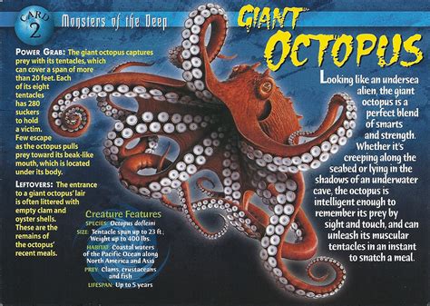 Giant Octopus | Wierd N'wild Creatures Wiki | FANDOM powered by Wikia