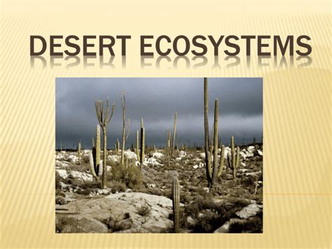 DESERT ECOSYSTEMS