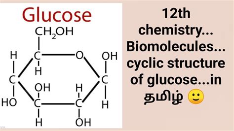 Cyclic structure of glucose... 12th chemistry... Biomolecules in தமிழ்... ☺ - YouTube