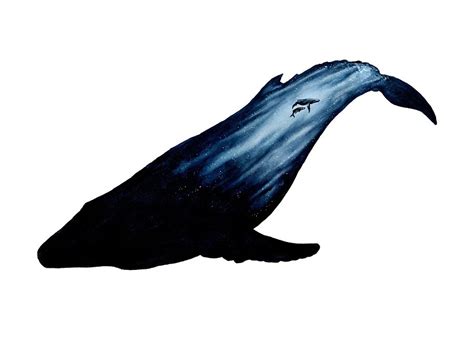 Humpback Whale Silhouette at GetDrawings | Free download