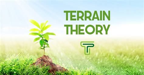 Terrain Theory