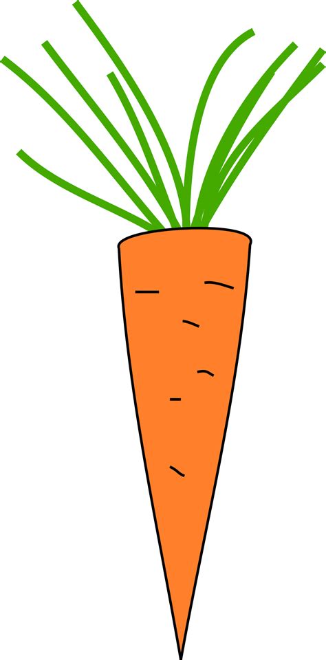 Download Free Download Copyright Free Carrot Clipart Carrot - Copyright Free Clipart Carrot PNG ...