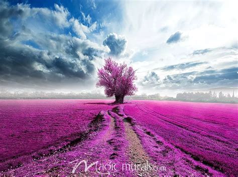 Fuchsia Landscape Wallpaper Wall Mural by Magic Murals