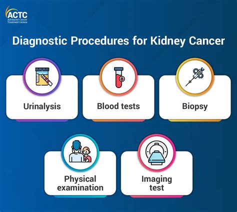 Kidney Cancer: Diagnosis, Stages & Treatment | ACTC