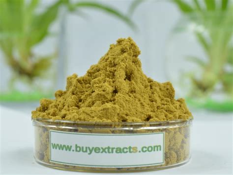 Where to buy Valerian Root Extract manufacturer &suppliers